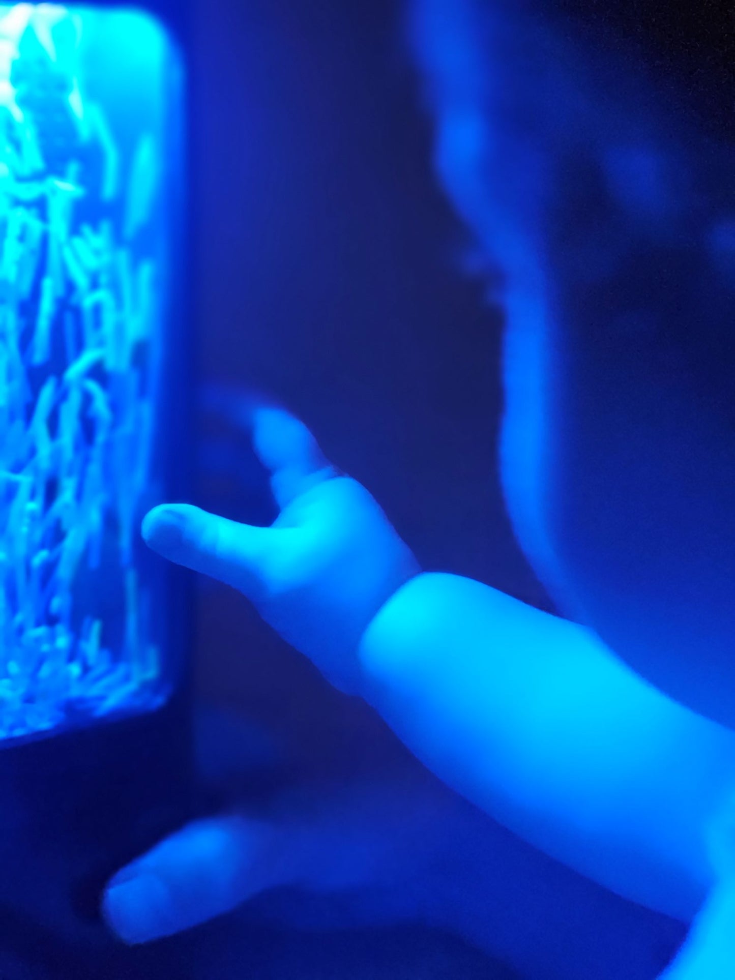 special needs sensory light nighttime